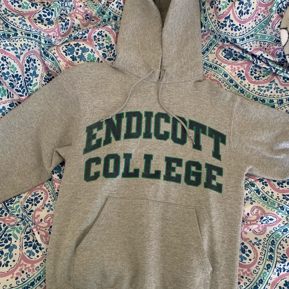 Endicott College Champion Hoodie